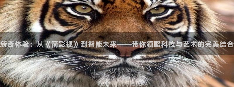 桔子動(dòng)畫搞笑視頻：新奇體驗(yàn)：從《箭影視》到智能未來——帶你領(lǐng)略科技與藝術(shù)的完美結(jié)合